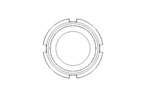 Slotted nut F DN25 1.4404 DIN11851