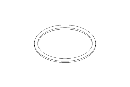 Sealing ring G DN80 EPDM DIN11851