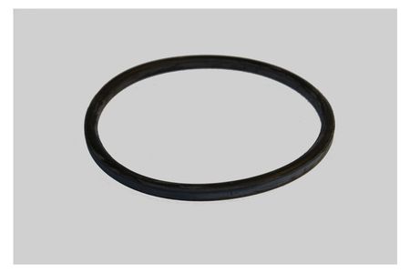 Dichtring G DN90 EPDM DIN11851