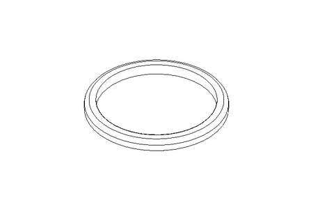 Sealing ring G DN50 FPM DIN11851