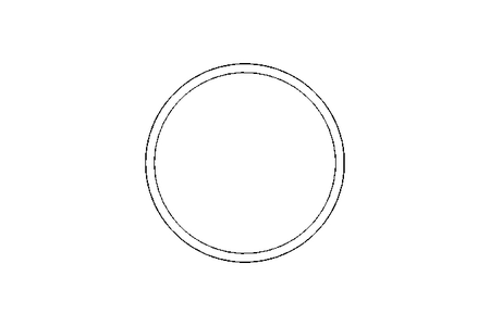 Sealing ring G DN125 FPM DIN11851