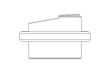 Schauglas S NW 125