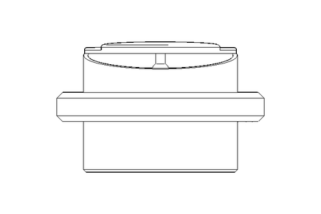 Schauglas S NW 125