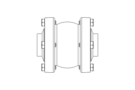 CHECK VALVE     NW40