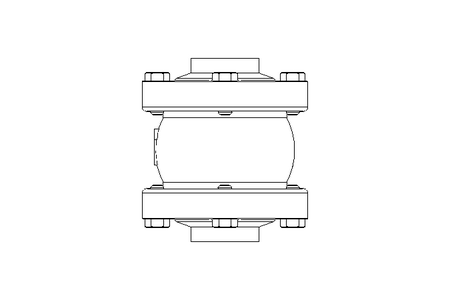 CHECK VALVE     NW40