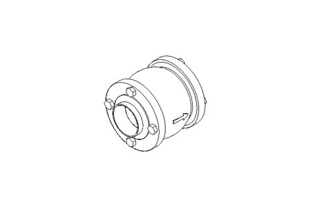 Check valve DN050 PN16