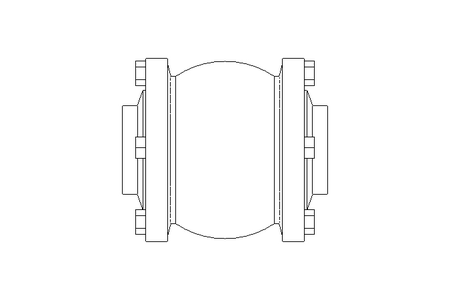 Check valve DN050 PN16