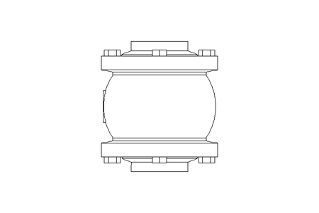 Check valve DN050 PN16