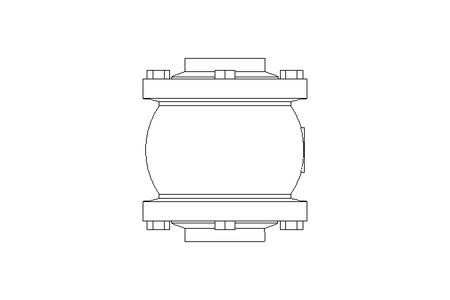 Check valve DN050 PN16