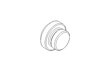 Verschlussschraube M10x1x5,0 A4