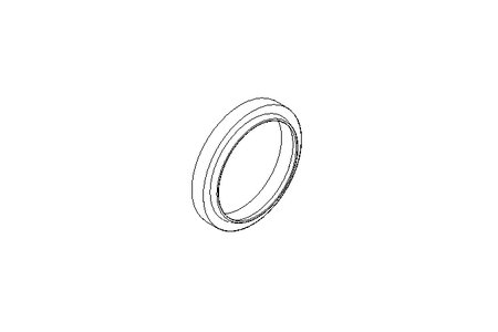 Wiper ring AS 50x60x10 NBR