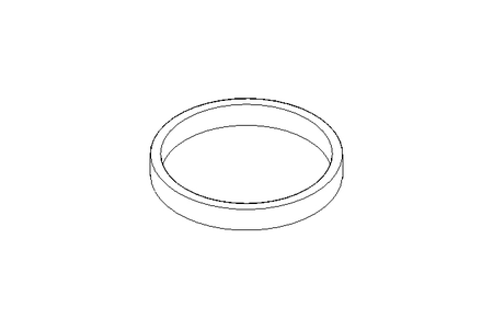 Führungsring S 26,9x30x4 PTFE