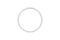 TURCON-RING     GP 6900880-T51