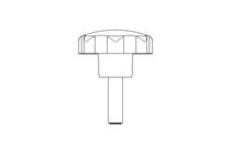 Sterngriffschraube St 32 M 6x20 A2