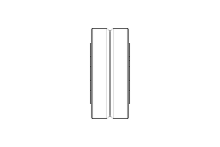 Cuscinetto a rullini NA4905 RS 25x42x17