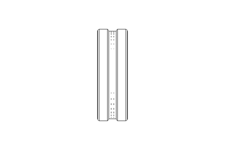 Cusci.orientabile a rulli 22206 CCW33 30