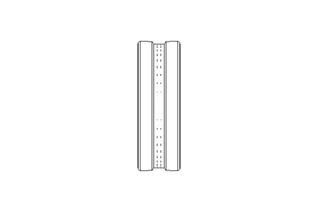 Cusci.orientabile a rulli 22206 CCW33 30