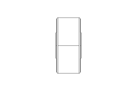 Support roller PWTR 1747-2RS-RR