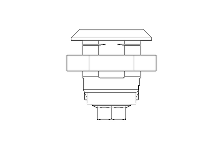 Drehriegel mit Zunge H14