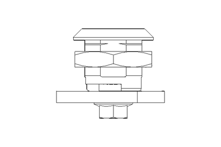 Drehriegel mit Zunge H22