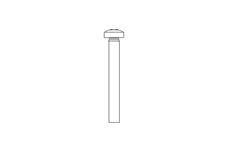 Fillister head screw M3x25 A2 ISO7045