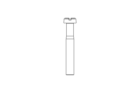 Cap screw M8x55 A2 DIN84