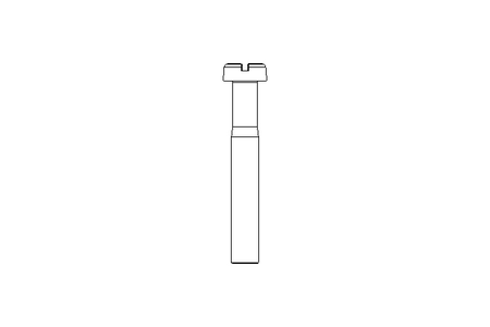 Zyl-Schraube M8x55 A2 ISO1207