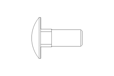 Round head screw M10x25 DIN603