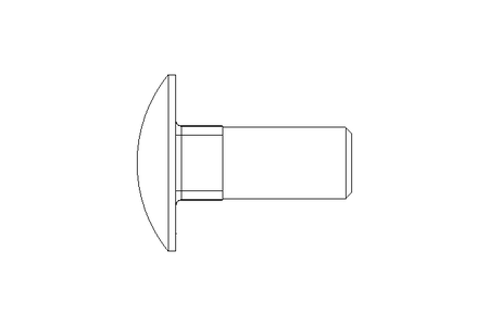 Flachrundschraube M12x30 DIN603