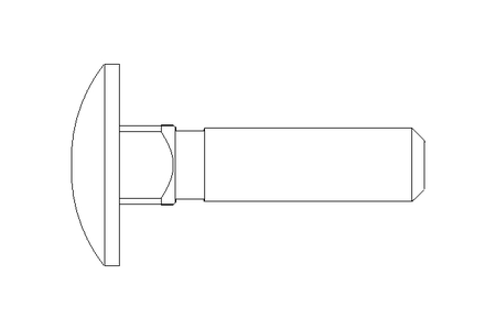 Round head screw M6x25 A2 DIN603