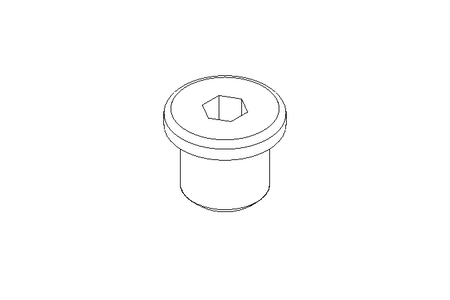 SCREW PLUG R  1/4 Z MS DIN 908