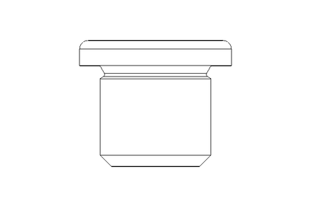 BOUCHON    R  1/4 Z MS DIN 908