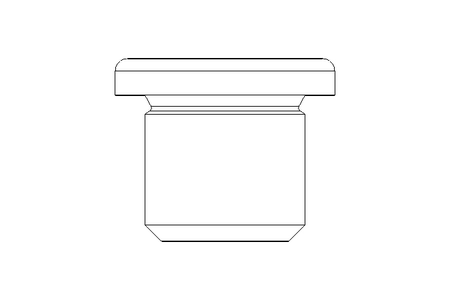 BOUCHON    R  1/4 Z MS DIN 908