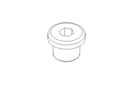 SCREW PLUG M10X1    MS DIN 908