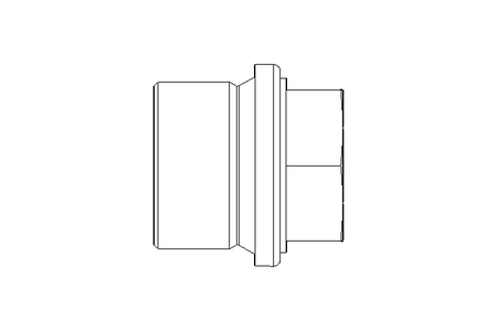 Verschlussschraube G 3/4 ST/NI DIN 910