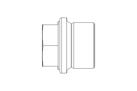 Verschlussschraube G 3/4 ST/NI DIN 910