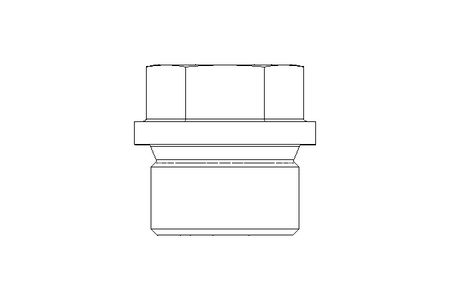 Verschlussschraube G 3/4 A A4 DIN 910