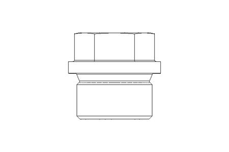 Verschlussschraube G 3/4 A A4 DIN 910