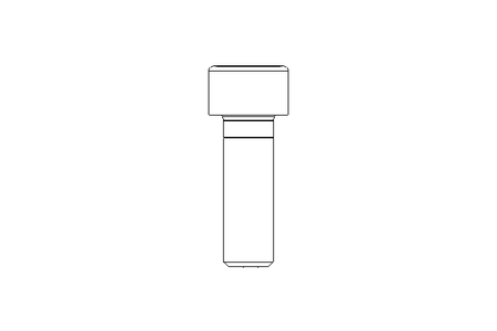 Zyl-Schraube M8x25 8.8 ISO4762