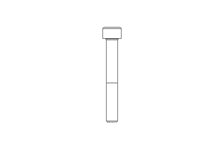 Zyl-Schraube M8x60 8.8 ISO4762