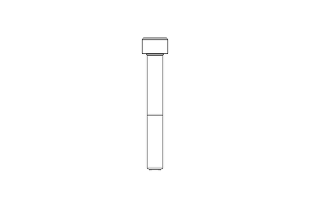 Zyl-Schraube M8x60 8.8 ISO4762