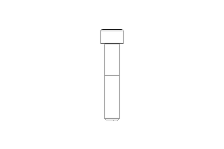 CHEESE HD.SCREW M10X55 12.9:ZN DIN912