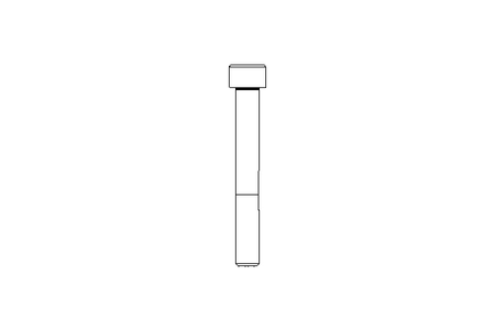 Tornillo de cab.cilínd. M10x80 8,8