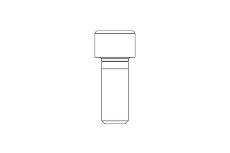 Zyl-Schraube M12x30 8.8 ISO4762