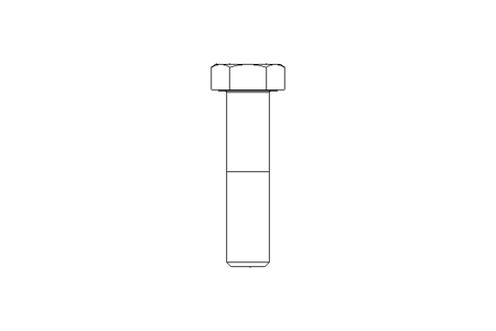 Tornillo cab. hexag. M24x100 8,8 ISO4014