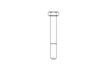 Tornillo cab. hexag. M10x75 A2 70