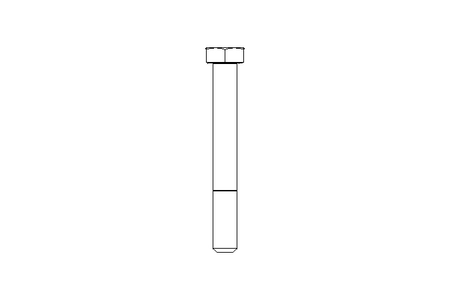 Vite a testa esagonale M10x80 A2 70