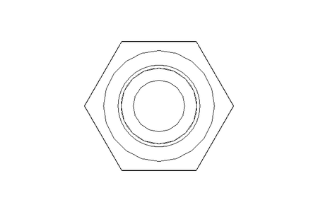 Tornillo cab. hexag. M10x170 A2 70