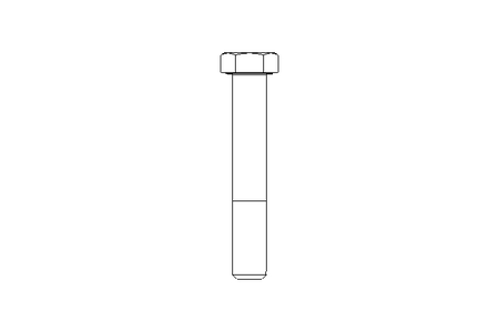 Tornillo cab. hexag. M16x100 A2 70