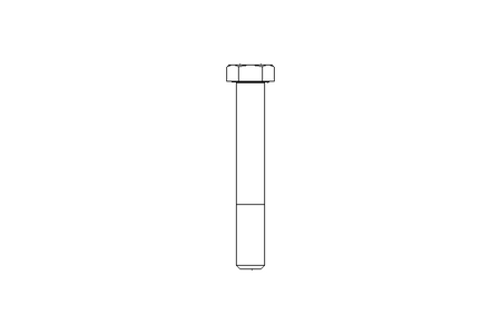 Tornillo cab. hexag. M16x110 A2 70